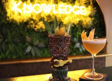 Knowledge 11